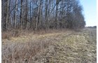 Property photo 23 - East Allen County - 55 Acre Land Auction